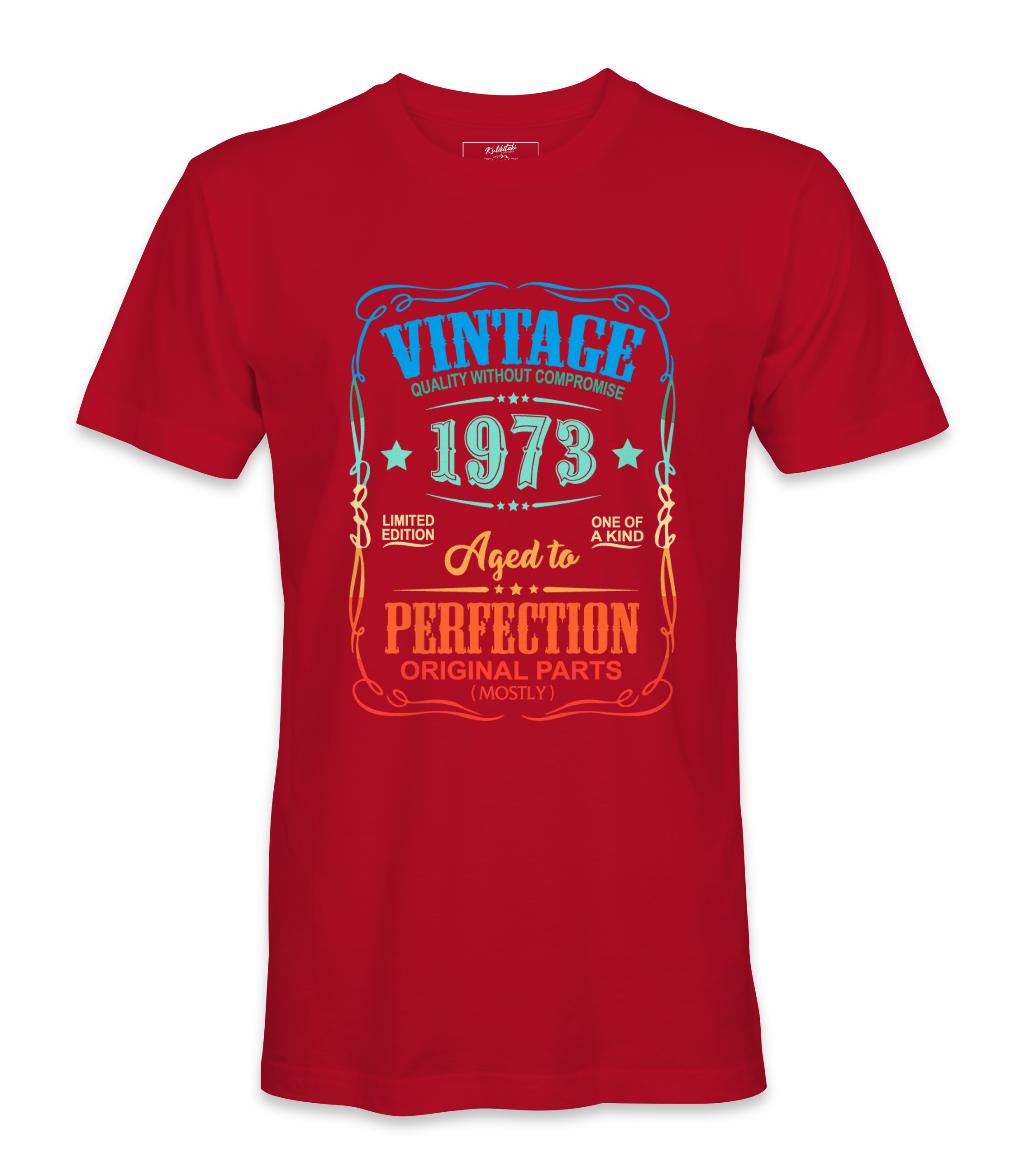 Vintage 1973 - T-shirt