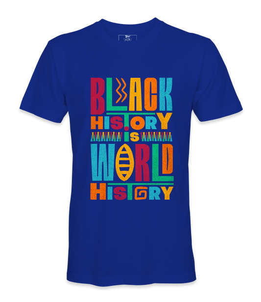 Black History is World History t-shirt