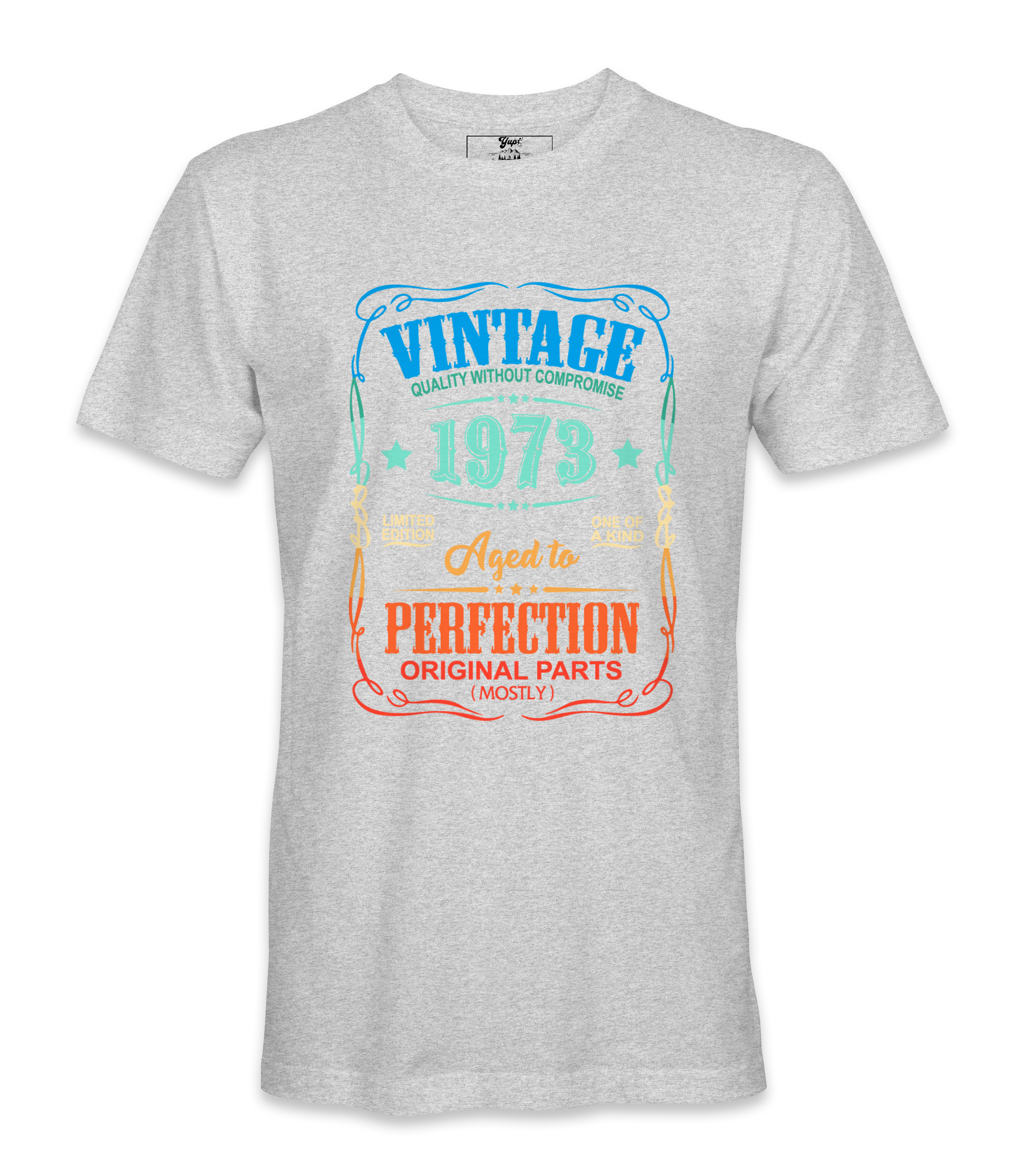 Vintage 1973 - T-shirt