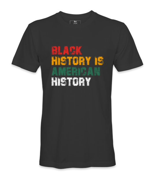 Black History Is American History T-Shirt