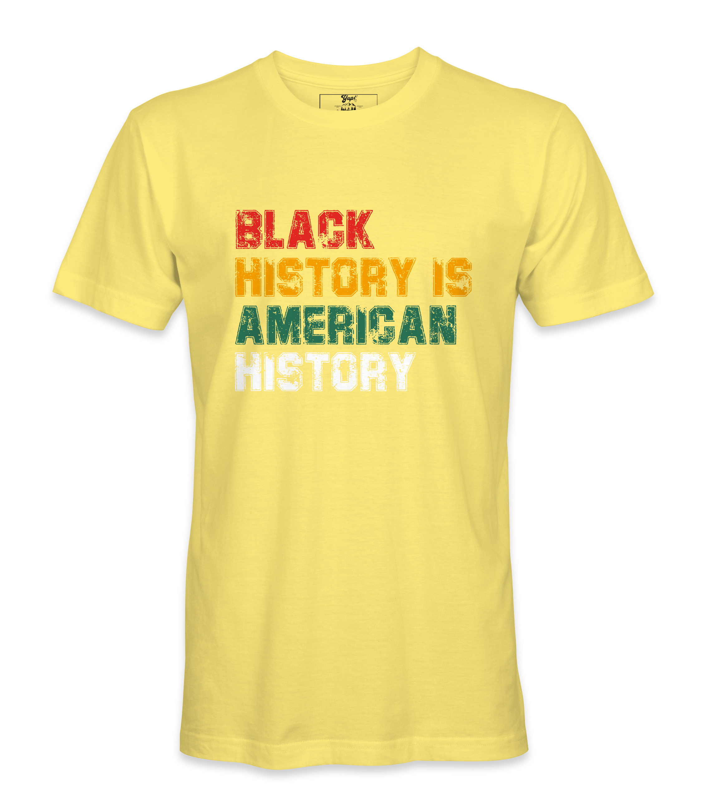 Black History Is American History T-Shirt